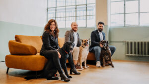 Clanq digitaler Mentor und Plattform für Fragen rund um Finanzplanung