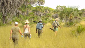 Kenia Naturparadies zwischen Busch und Meer