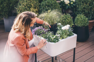 Greenling präsentiert sich im innovativen Retail-Umfeld von The Latest