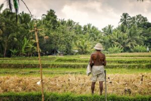USA kündigen Treffen Biden-Xi auf G20-Gipfel am Montag an