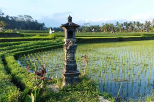 Nickelpreis fällt – Indonesien will Kartell a la Opec