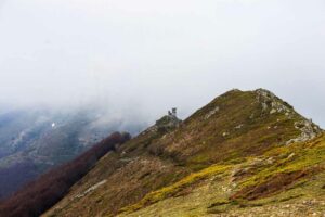 Bulgarischer Polizist an türkischer Grenze erschossen