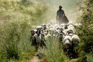 Massive Proteste gegen Corona-Maßnahmen in chinesischer Provinz Xinjiang