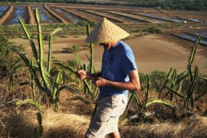 Anleger in Europa und USA klammern sich an China-Hoffnungen