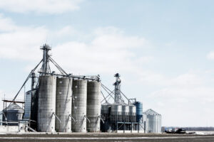 Ein Jahr Ampel-Koalition – Ifo-Chef diagnostiziert Umsetzungsschwäche