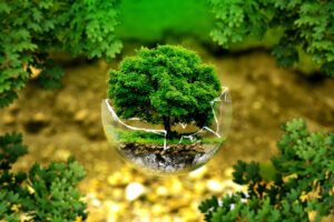 UN-Klimakonferenz einig bei Hilfen für ärmere Länder – aber auch viel Kritik