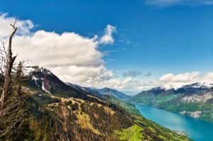 Schweizer Börse trotzt Abwärtstrend – Pharma und Nestle stützen