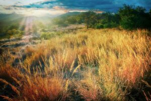 Mehrere Soldaten in Somalia bei Angriff von Al-Schabaab-Miliz getötet