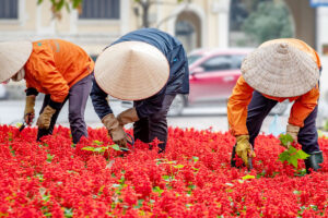 Scholz strebt engere Wirtschaftsbeziehungen mit Vietnam an