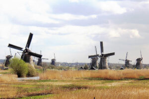 Niederländisches Ratsmitglied sieht EZB vor „Halbzeit“ bei Zinserhöhungen
