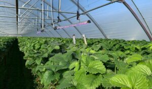 Crocus Labs schließt eine siebenstellige Seed-Investitionsrunde ab