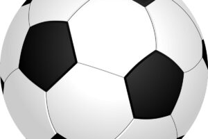 Chefin der Deutschen Fußball-Liga vor Ablösung