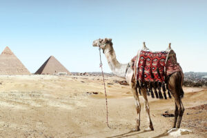 TUI zeigt sich nach Sommer-Reiseboom optimistisch für 2023