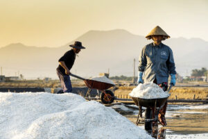 Vietnam bekommt 15,5 Mrd Dollar für Umbau der Energieversorgung