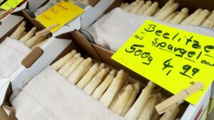 Bauernverband fürchtet Aus für deutschen Spargel