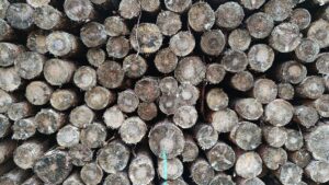 Pelletverband verteidigt Holzheizungen