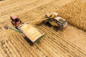 Wachstum von Bayer schwächt sich ab – 2023 Ergebnisrückgang erwartet