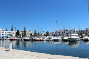 Tausende demonstrieren in acht tunesischen Städten gegen Präsidenten