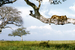 Klage gegen Ölpipeline-Projekt von TotalEnergies in Uganda abgewiesen