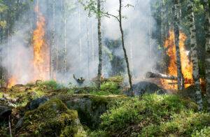 Waldbrände in Chile fordern mindestens 13 Todesopfer