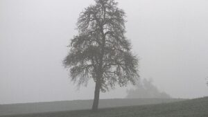 Wetterdienst meldet zwölften zu warmen Winter in Folge