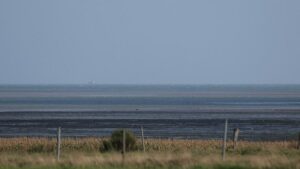 EU erlässt erste Maßnahmen für Nordsee-Schutzgebiete