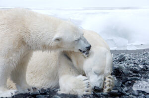 Studie beziffert Klimaschäden in Deutschland auf bis zu 900 Mrd Euro