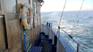 Einigung auf UN-Hochseeschutzabkommen – „Historischer Durchbruch“