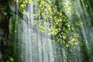 UN hört tickende Zeitbombe – Schnellste Klima-Erwärmung seit 2000 Jahren