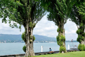 Deutschland will Schweizer Leopard-Panzer kaufen