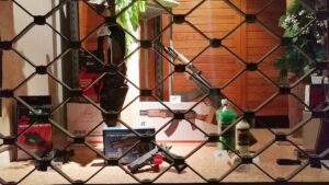 Rufe aus Linkspartei nach strengeren Waffengesetzen