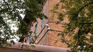 Justizminister gegen Herabsetzung der Strafmündigkeit