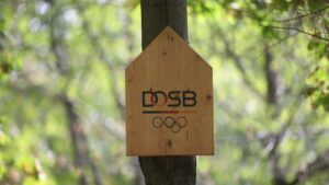 Deutschland bietet ukrainischen Olympia-Sportlern Hilfe