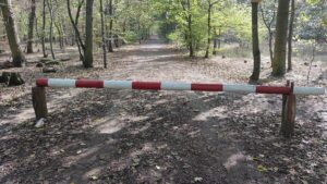 Wanderverband rät Politikern zu mehr Bewegung