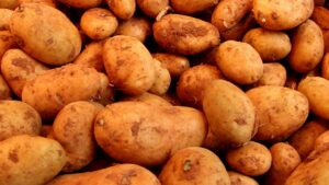 Erzeugerpreise in der Landwirtschaft steigen langsamer