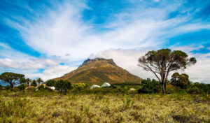 Aktivistischer Investor Trillium will Fotoagentur Getty kaufen