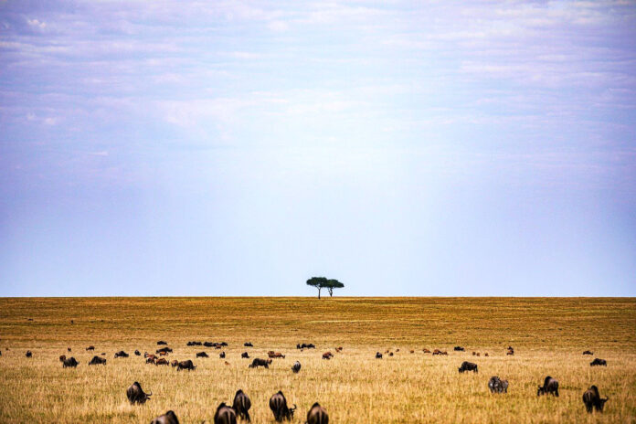 Sudan