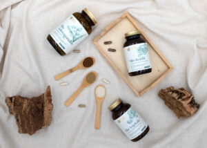 Für ein natürliches Gleichgewicht: Ayurveda mit Nature Basics