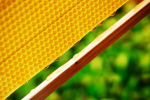 Ungarn verbietet Importe von Honig und Fleischprodukten aus der Ukraine