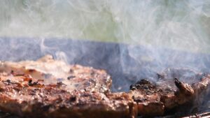 Landwirtschaftsausschuss einigt sich zu Tierhaltungskennzeichnung