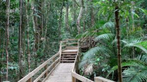 EU-Parlament nimmt Entwaldungs-Gesetz an