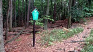 Sachsen und Brandenburg fordern vom Bund Grenzschutz