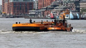 Grüne kritisieren Cosco-Einstieg beim Hamburger Hafen