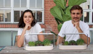 Ingarden sichert sich eine halbe Millionen Euro Finanzierungsrunde