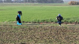 Wagenknecht sieht Limit für Flüchtlinge in Deutschland erreicht