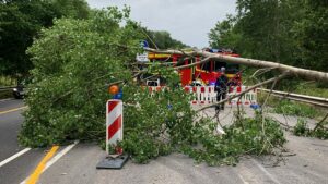 Viele Schäden durch Sturmtief "Poly" – Mindestens ein Todesopfer