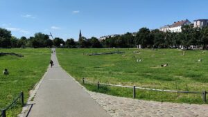 Görlitzer Park: Deutlich mehr Intensivtäter ohne Bleibeperspektive