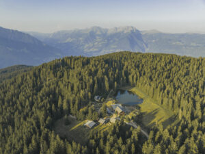 Schneller in die Natur