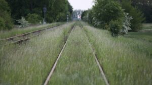 Deutsche Bahn plant mehr Ausgaben für Unkrautbekämpfung