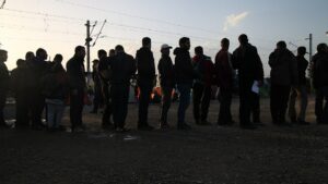 EU-Asylagentur: Seit Januar 801.459 Asylanträge in EU